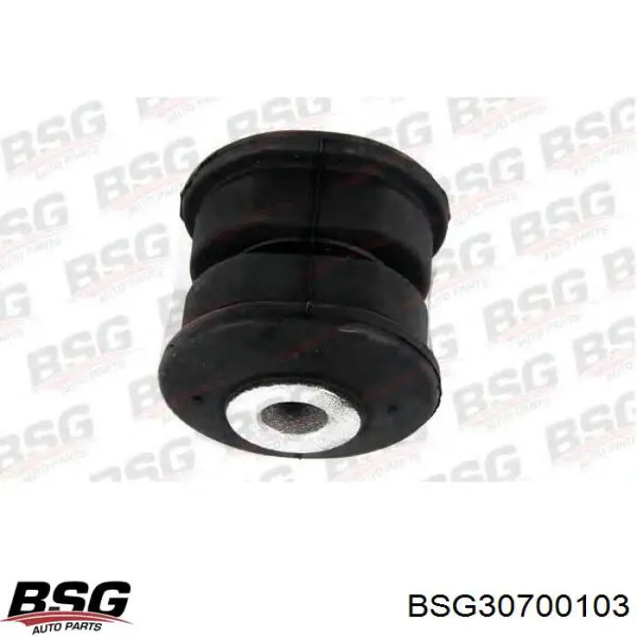 Купити BSG30700103 BSG Сайлентблок ресори, передній