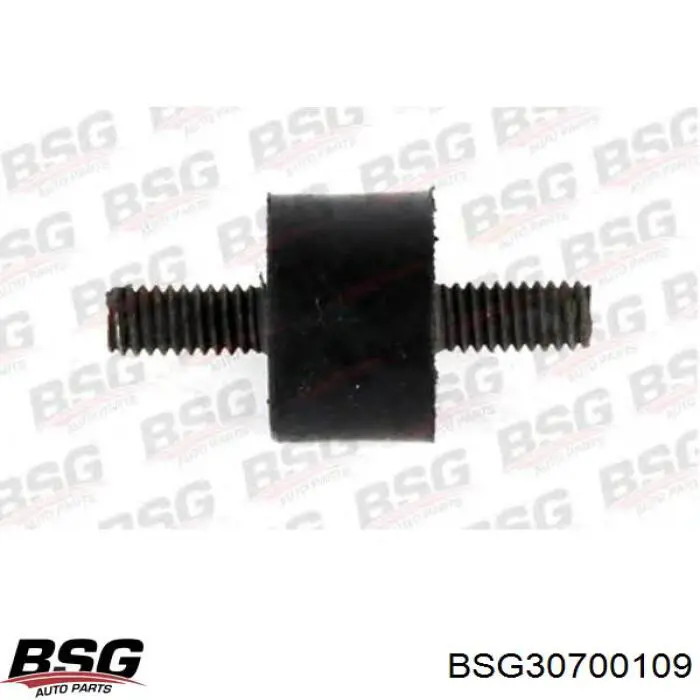 Купити BSG30700109 BSG Подушка патрубка інтеркулера