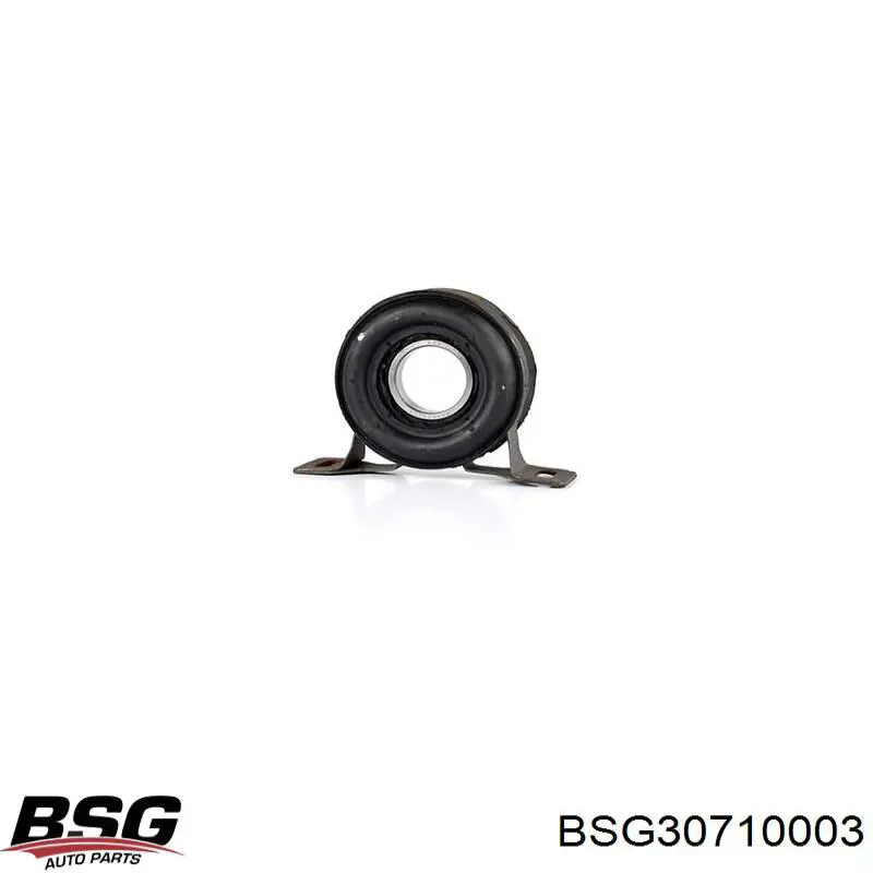 BSG30710003 BSG Підвісний підшипник карданного валу