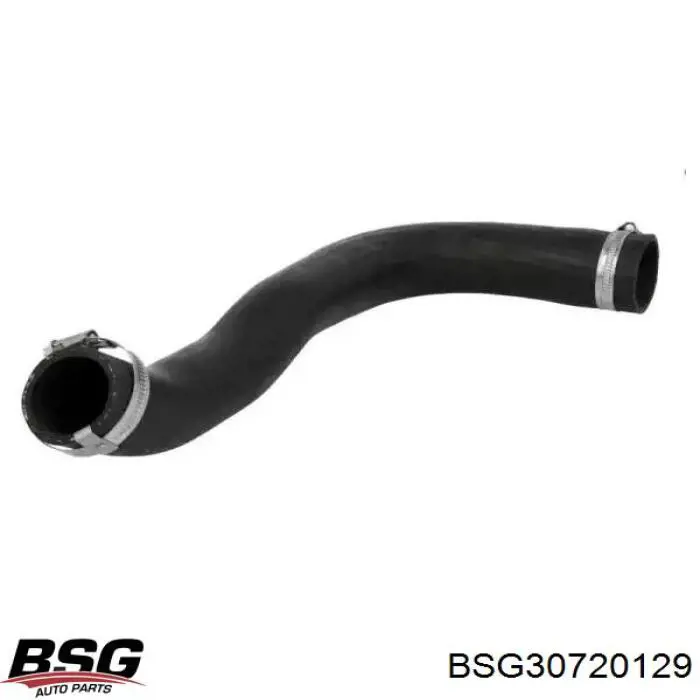 Шланг/патрубок интеркуллера BSG BSG30720129 ціна, від 32.28 USD