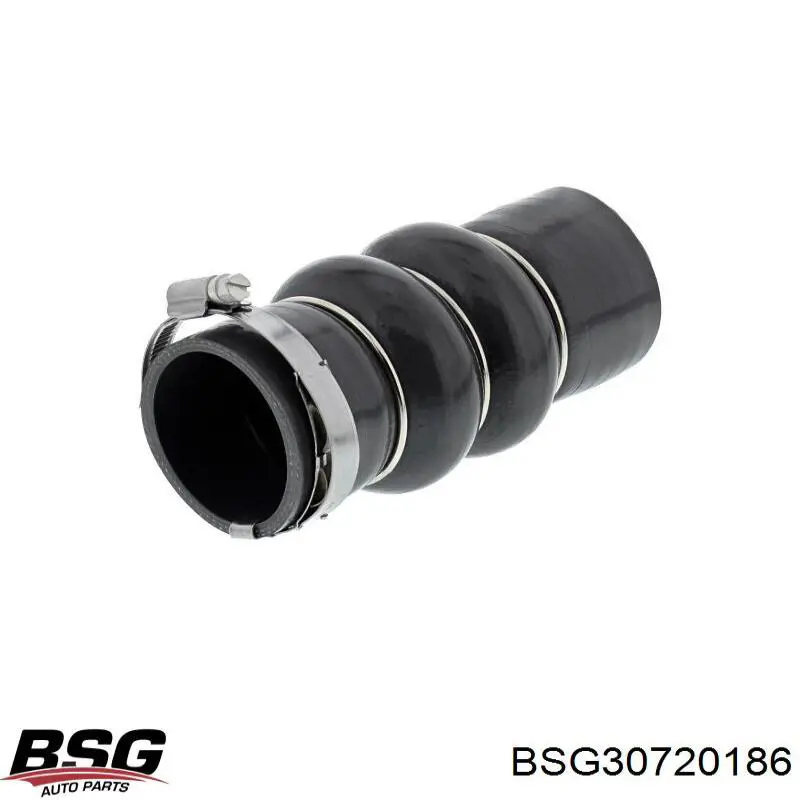 Трубка, що нагнітається BSG BSG30720186 ціна, від 8.44 USD