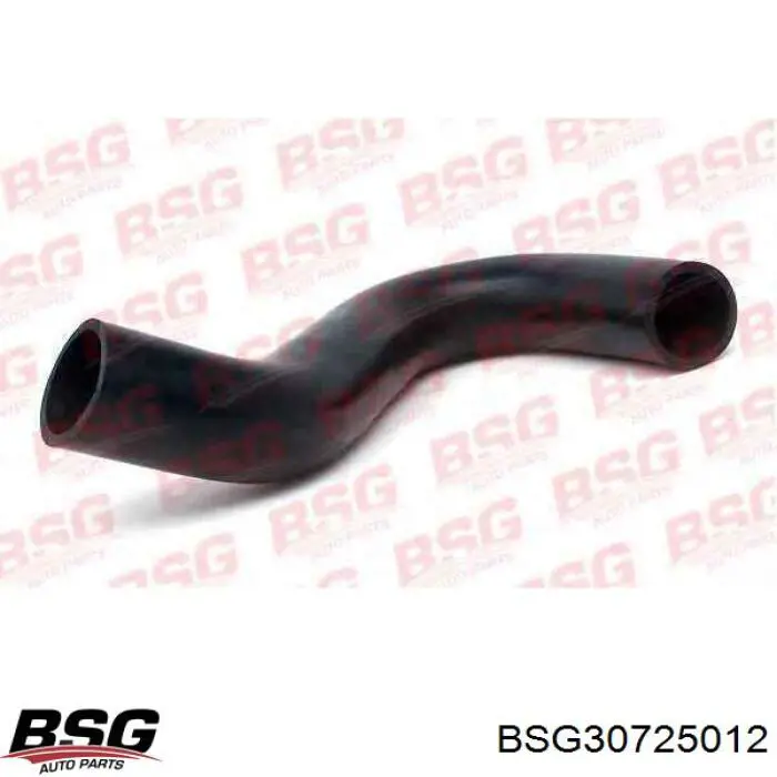 BSG30725012 BSG 