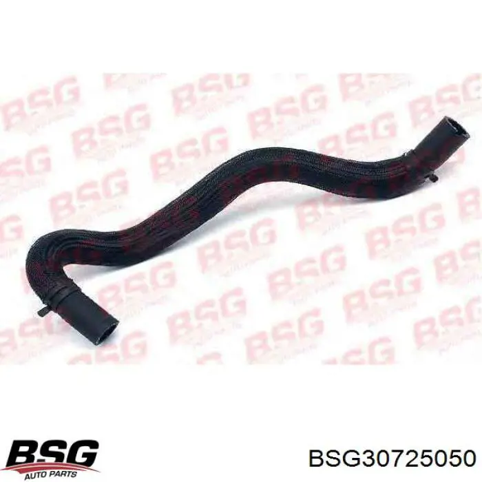 BSG30725050 BSG Шланг ГПК, низького тиску, від рейки/механізму до бачка