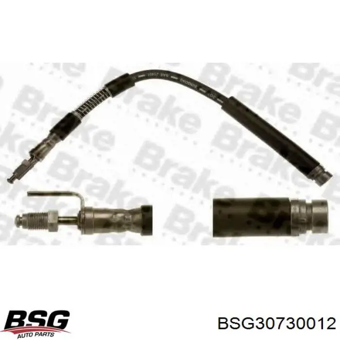 Купити BSG30730012 BSG Гальмівні шланги передні