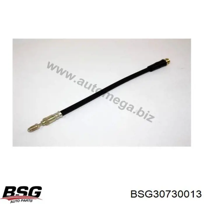 Купити BSG30730013 BSG Шланг гальмівний задній