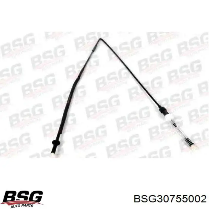 Купити BSG30755002 BSG Трос газу