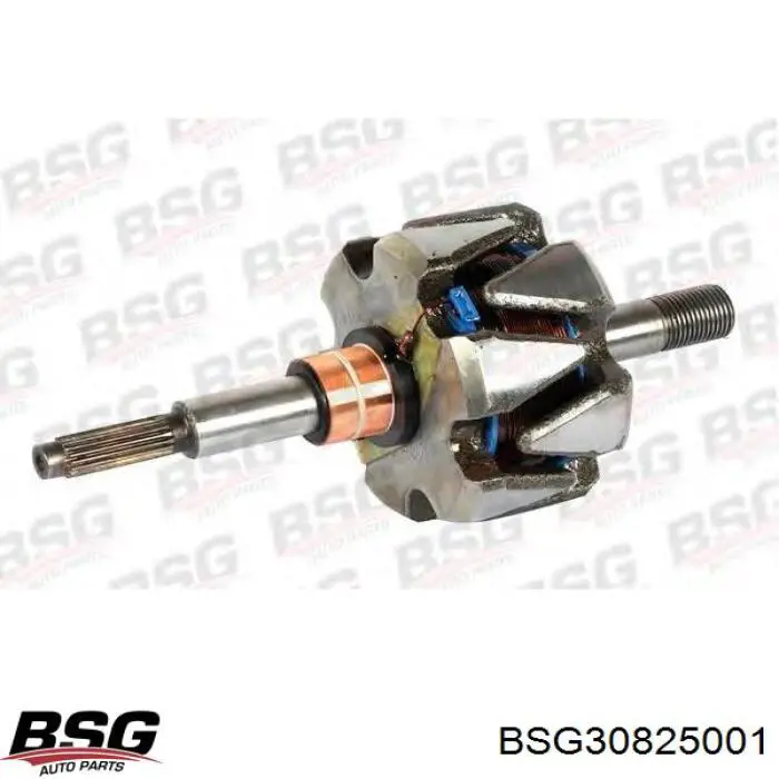 BSG30825001 BSG генератор