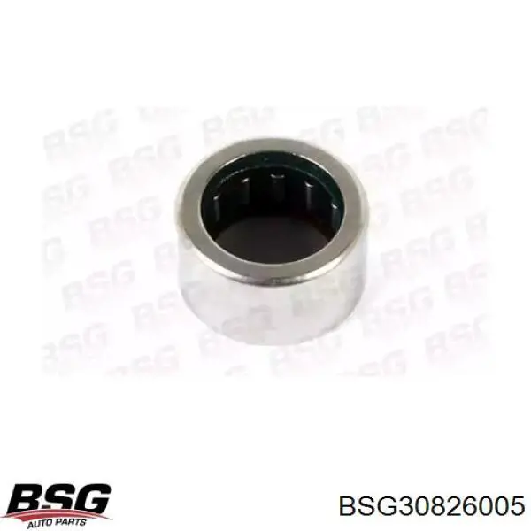  BSG30826005 BSG