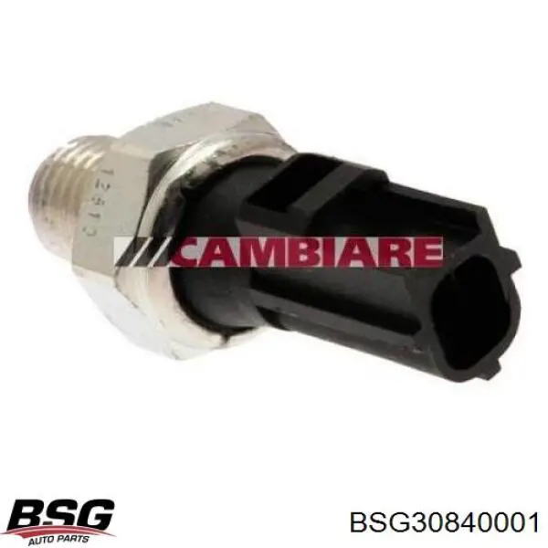 Манометри (показник тиску масла) BSG BSG30840001 ціна, від 3.74 USD