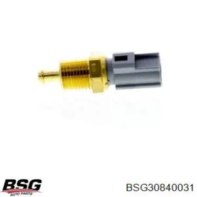BSG30840031 BSG датчик температури охолоджуючої рідини