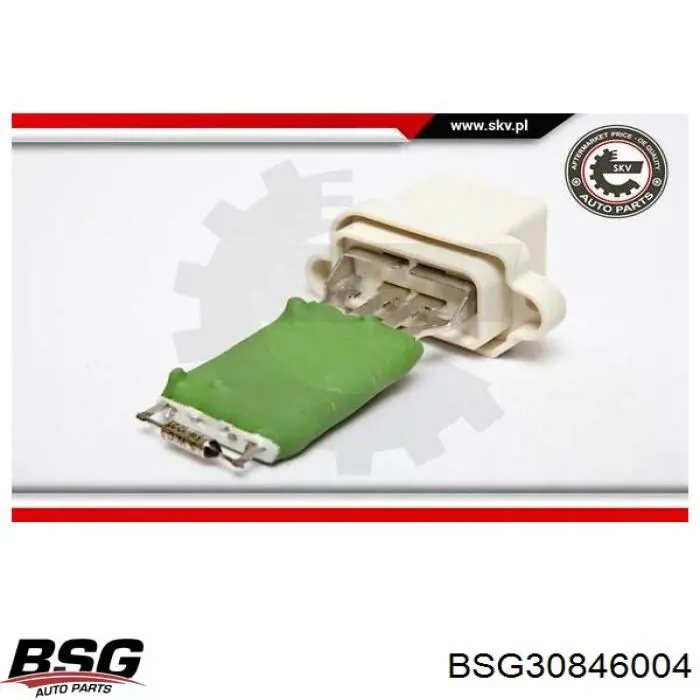 Резистор обігрівача BSG BSG30846004 ціна, від 10.07 USD