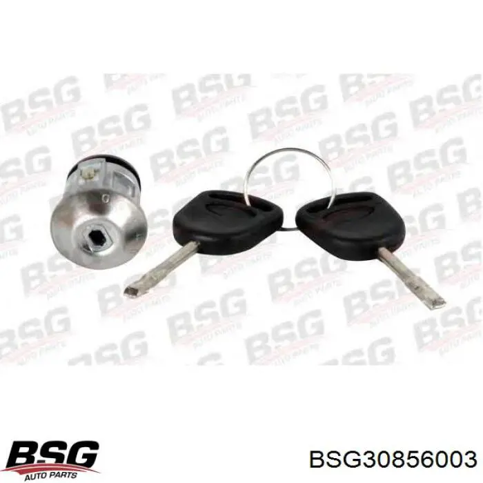 BSG30856003 BSG Личинка замка запалювання