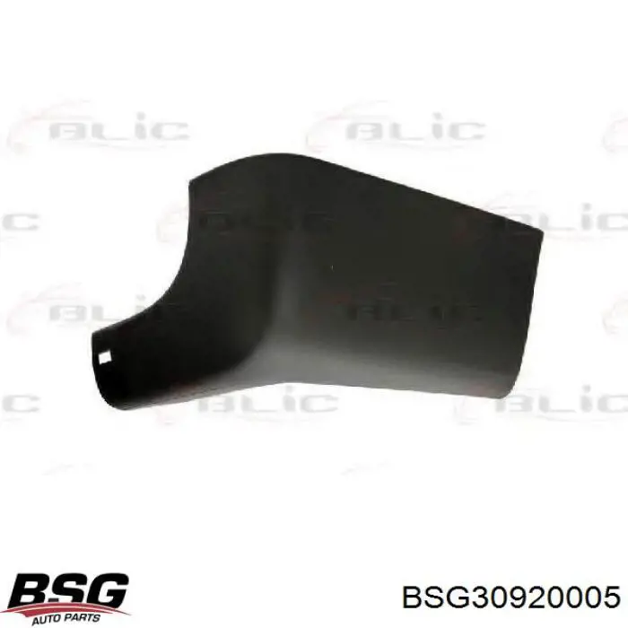 Купити BSG30920005 BSG Бампер задній, права частина
