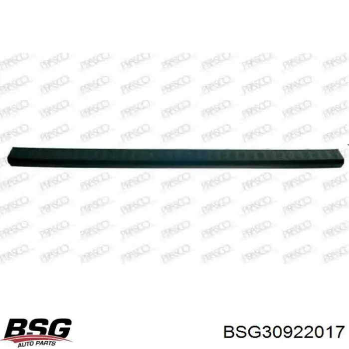 Накладка бампера заднього, верхня захисна (сходинка-підніжка) FP2803955 FPS
