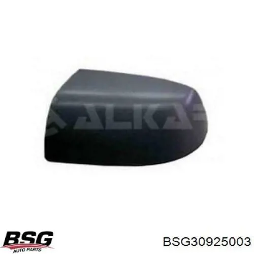 Накладка задньої двері, правої, вертикальна Ford 1201195
