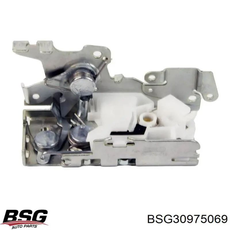 BSG30975069 BSG петля-зачіп (відповідна частина замка задніх двостулкових дверей, лівий верхній)