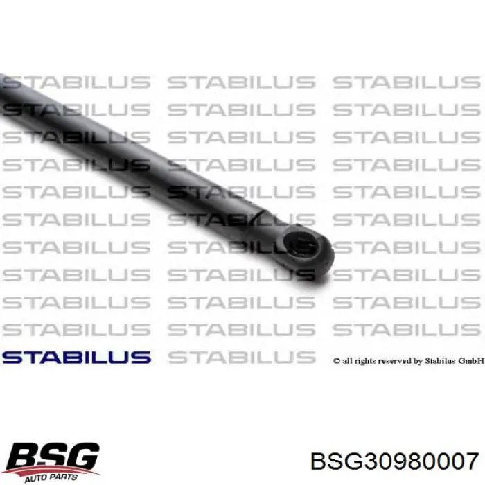 Амортизатор двері задньої BSG BSG30980007 ціна, від 6.44 USD