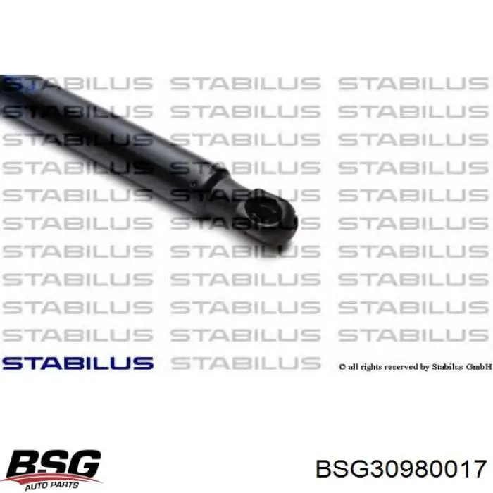 Амортизатор двері задньої Magneti Marelli 430719077000 ціна, від 8.31 USD