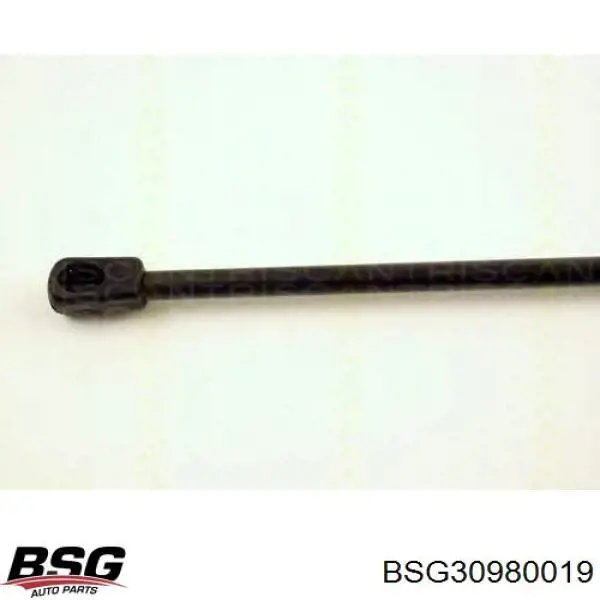 Купити 30980019 BSG Амортизатор двері багажника