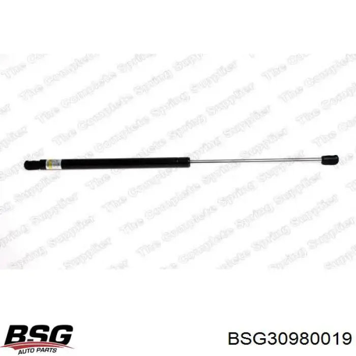 BSG30980019 BSG амортизатор кришки багажника/ двері 3/5-ї задньої