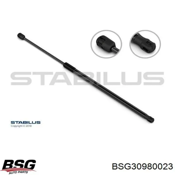 Амортизатор двері задньої BSG BSG30980023 ціна, від 7.44 USD