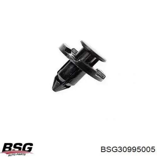  BSG30995005 BSG