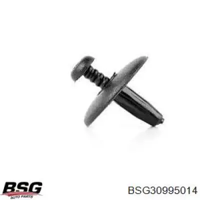 BSG BSG30995014 ціна, від 0.16 USD