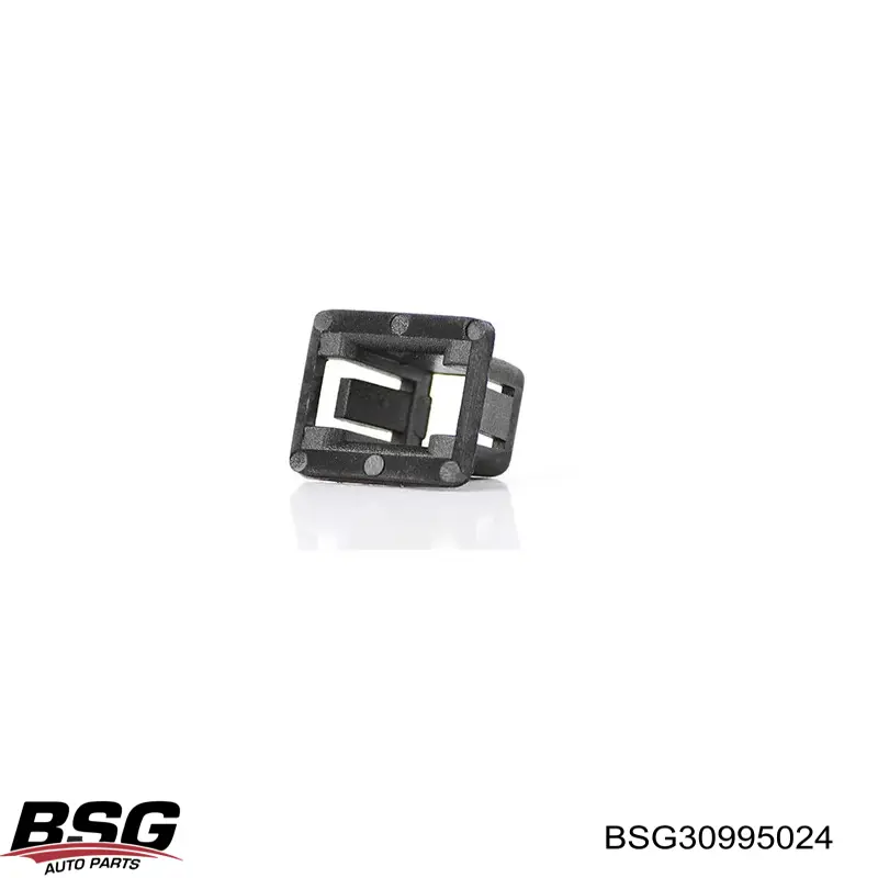 BSG30995024 BSG пістон (кліп кріплення обшивки дверей)