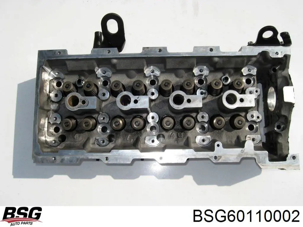 Головка блока циліндрів (ГБЦ) BSG60110002 BSG