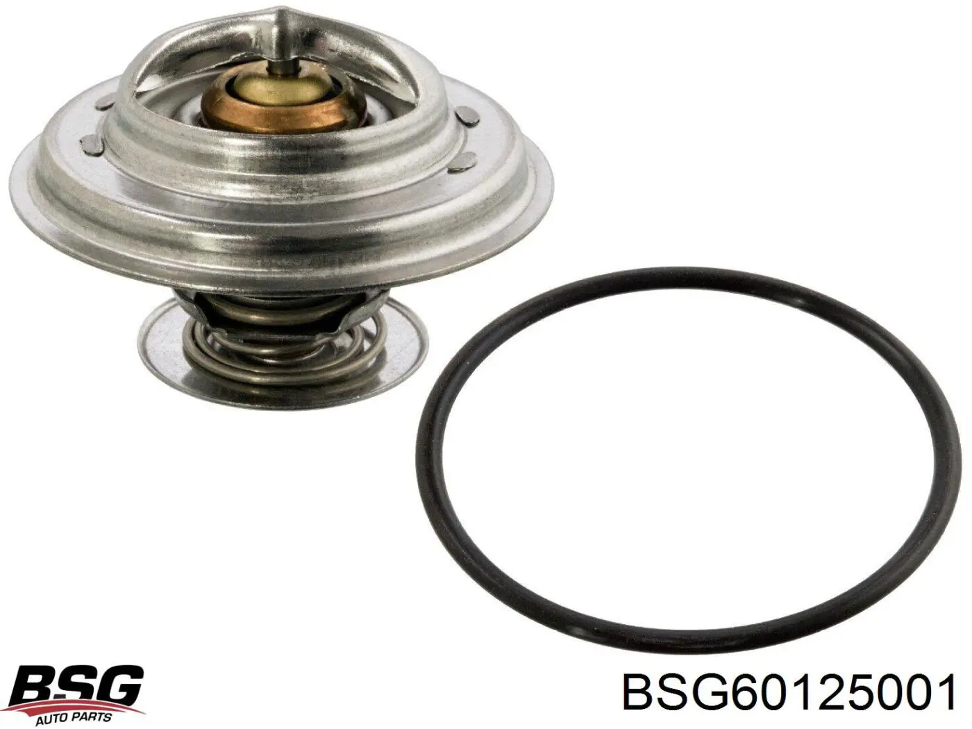 BSG60125001 BSG термостат