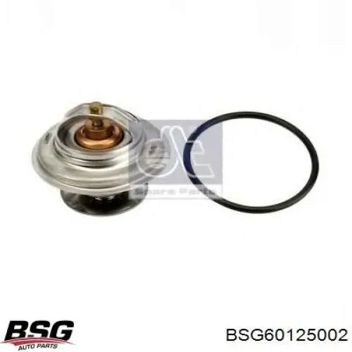 Купити BSG60125002 BSG Термостат в корпусі
