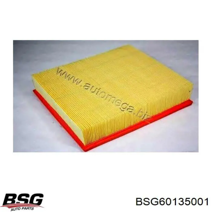 Купити BSG60135001 BSG Автомобільний фільтр повітря
