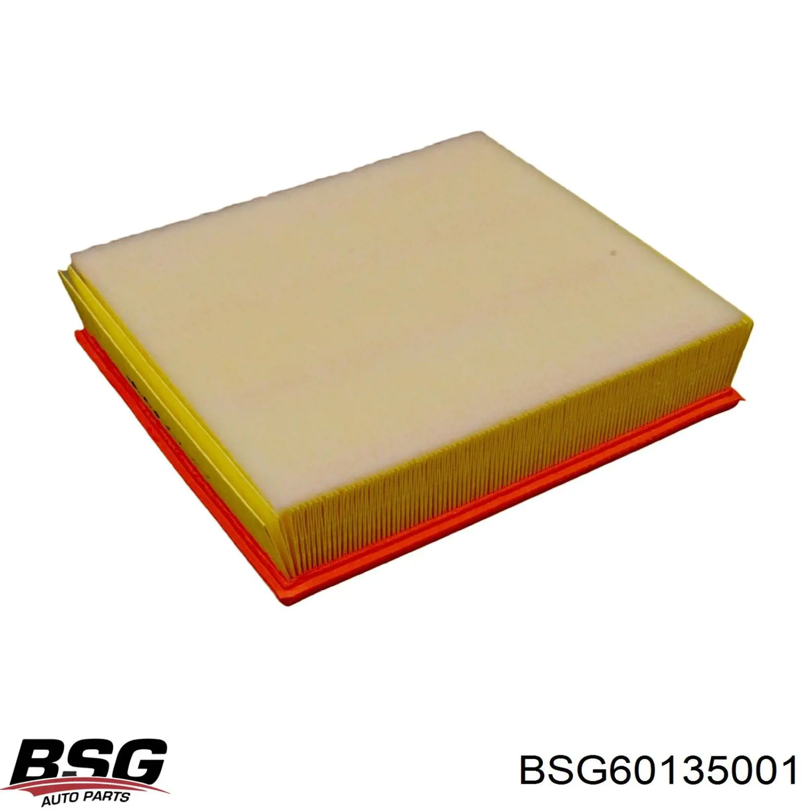 BSG60135001 BSG фільтр повітряний