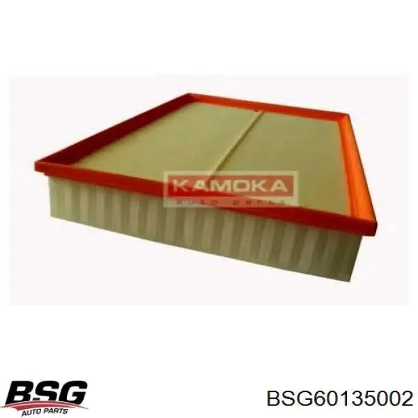 Повітряний фільтр BSG60135002 BSG