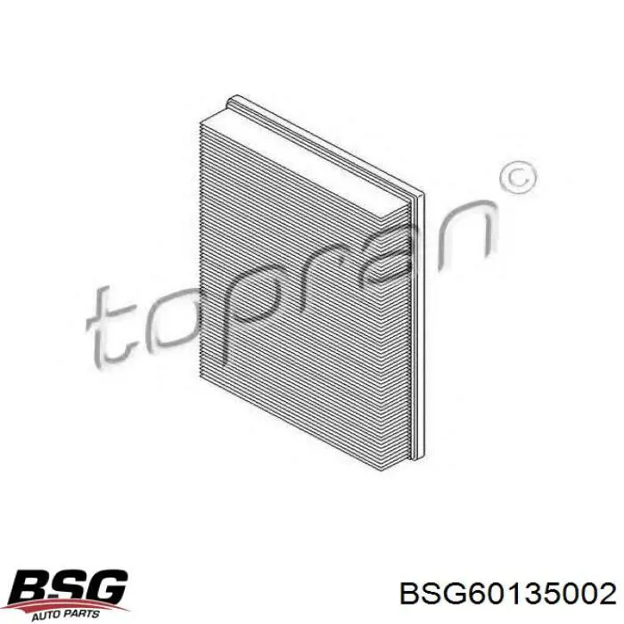 BSG60135002 BSG Повітряний фільтр двигуна