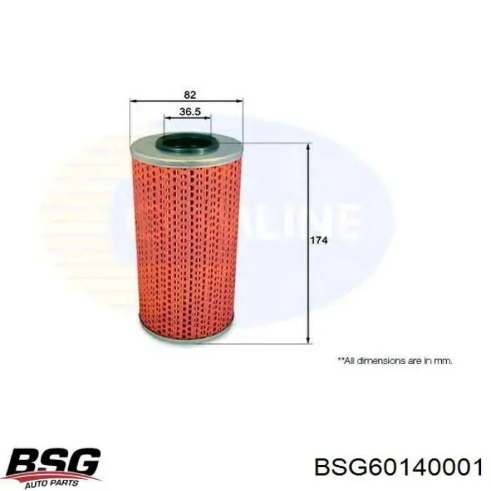 Купити BSG60140001 BSG Фільтр очищення масла відцентровий