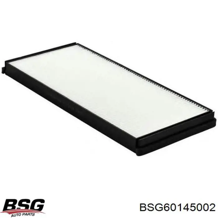 BSG60145002 BSG Внутрішньосалонний фільтр