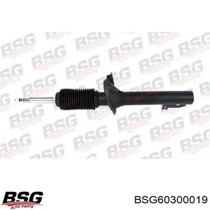 Стойка амортизатора передняя BSG BSG60300019 ціна, від 58.99 USD