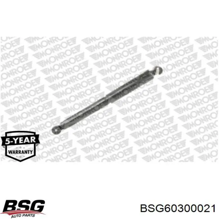 BSG60300021 BSG амортизатор задній