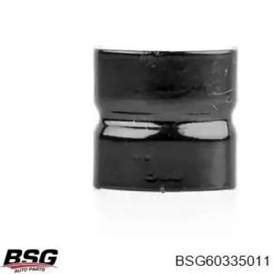 Купити 60335011 BSG Хомут кріплення втулки стабілізатора, переднього