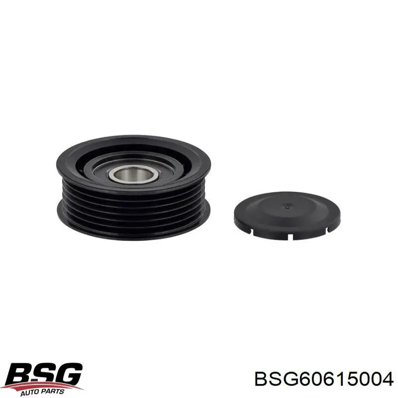 Купити BSG60615004 BSG Ролик приводного ременя, паразитний