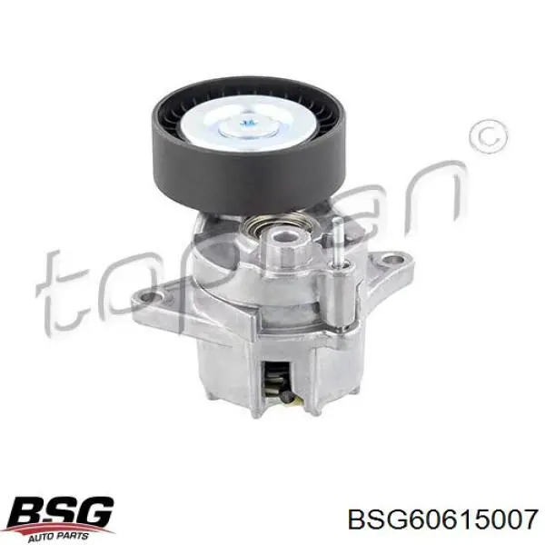 BSG60615007 BSG Натяжна планка поліклинового ременя