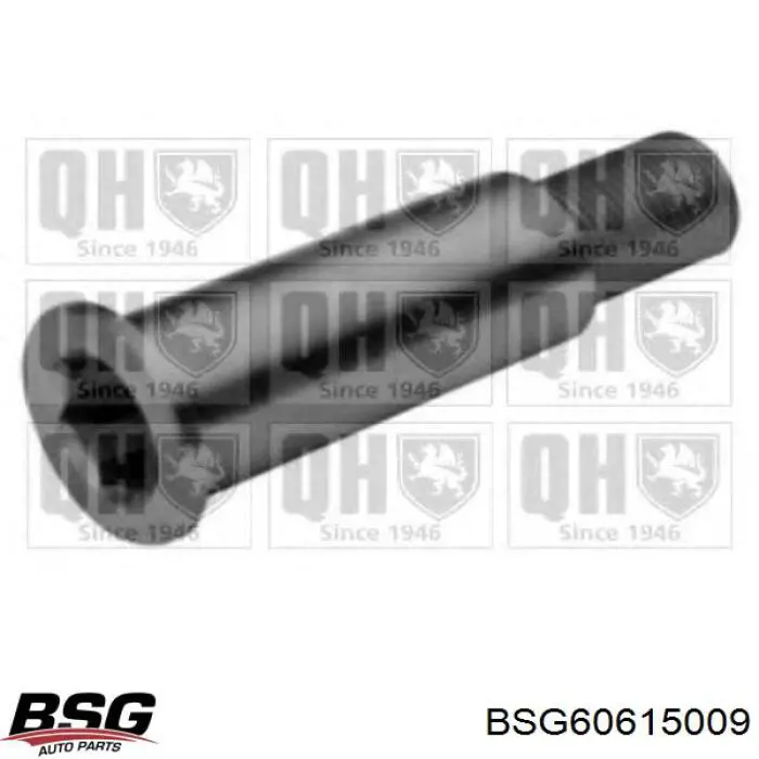 BSG60615009 BSG кронштейн натягувача приводного ременя