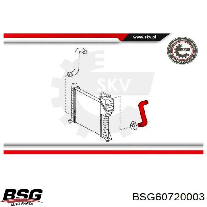 Шланг/патрубок радіатора охолодження, верхній BSG BSG60720003 ціна, від 9.93 USD