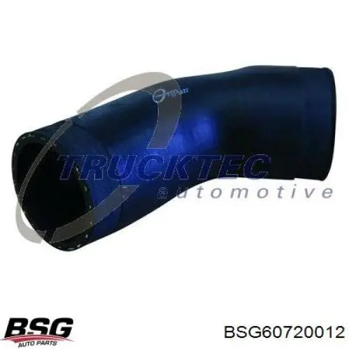 Шланг/патрубок интеркуллера BSG BSG60720012 ціна, від 6.87 USD