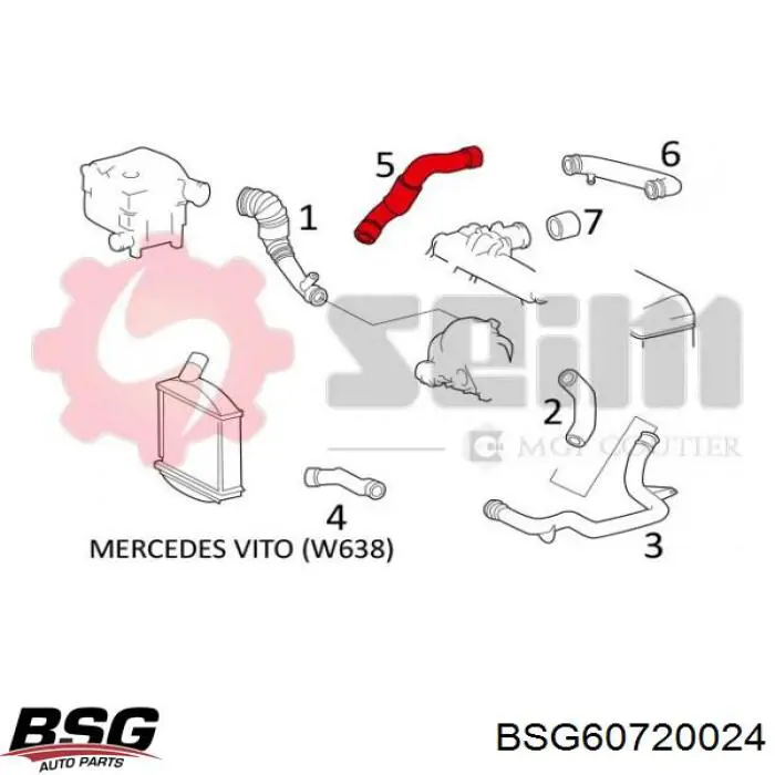 BSG60720024 BSG Трубка, що нагнітається