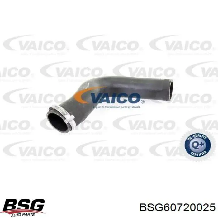 Купити BSG60720025 BSG Шланг/патрубок интеркуллера