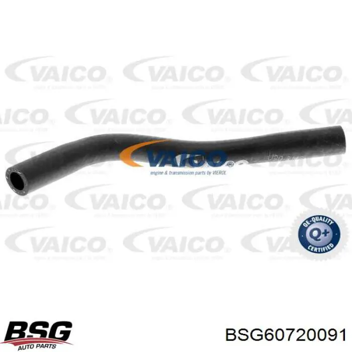 BSG60720091 BSG Шланг розширювального бачка, нижній