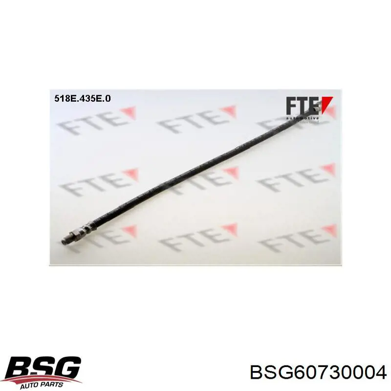 Шланг гальмівний передній BSG BSG60730004 ціна, від 8.70 USD