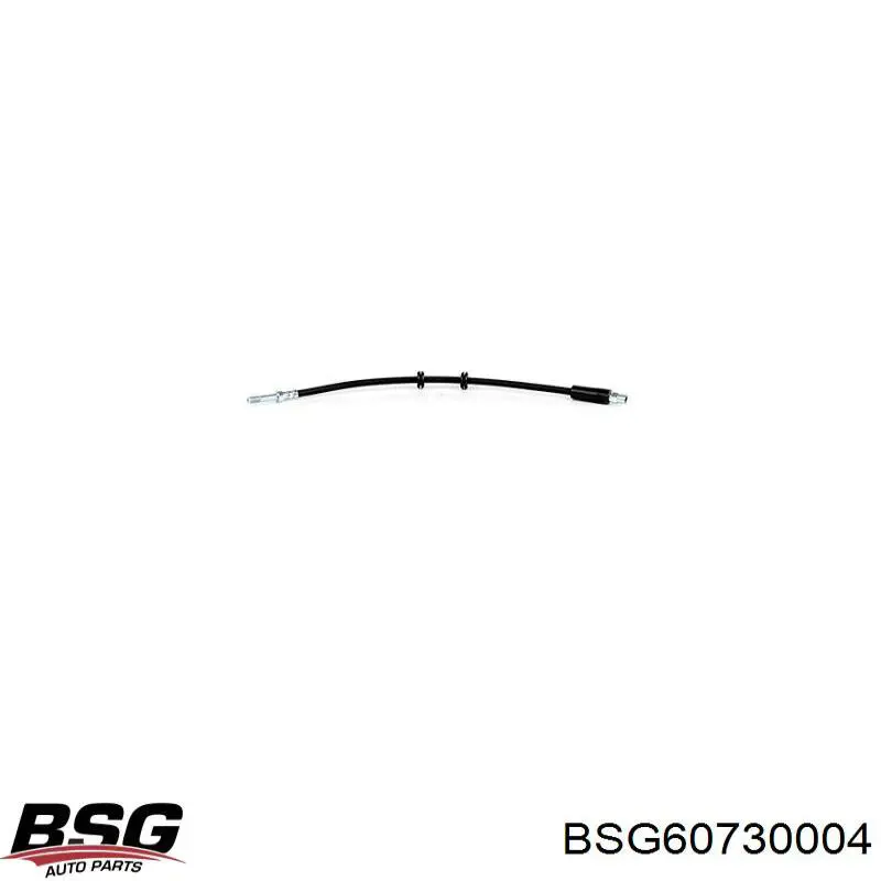 Купити BSG60730004 BSG Гальмівні шланги передні